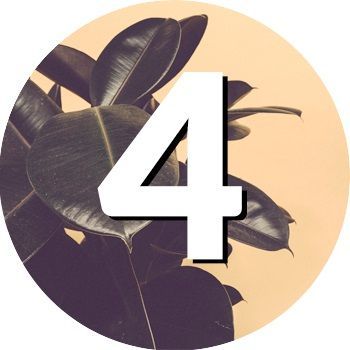 numerologia w czerwcu