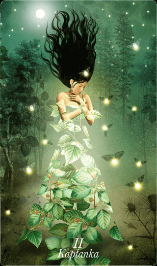 tarot 2026
