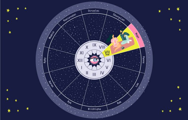7 dom astrologiczny