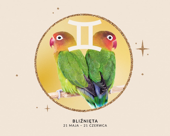 Horoskop na urodziny 2025 dla Bliźniąt