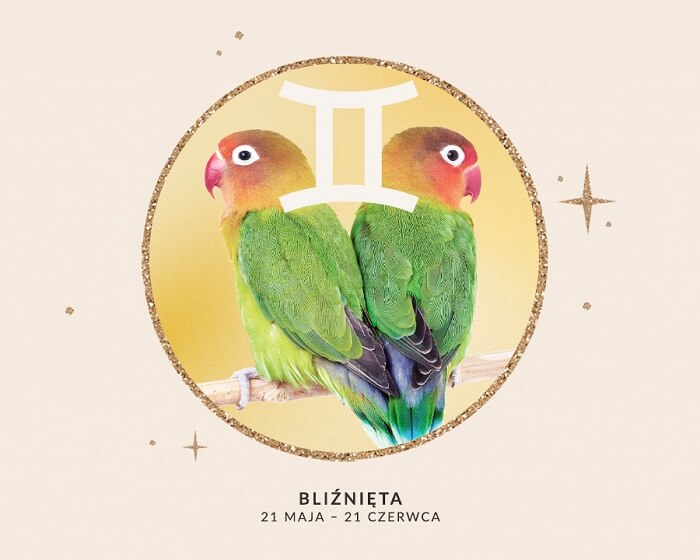 Horoskop dla Bliźniąt 2026