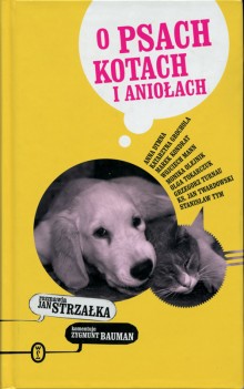O psach
kotach i&nbsp;aniołach